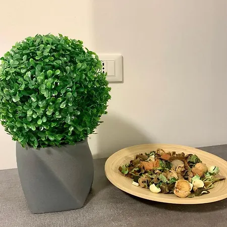 Central In The Historic Center شقة *